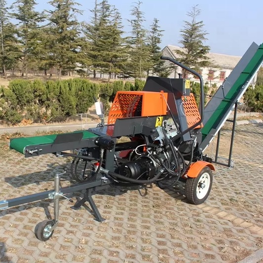 Rozłupywarka do drewna hydraul – Log Splitter Electric recenzja i cena